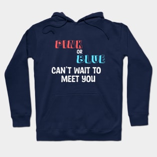 Pink or Blue can't wait to meet you Hoodie